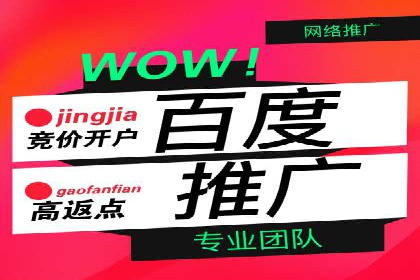 从零到一：企业如何通过百度竞价实现快速增长？——以某公司为例