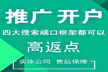 竞价代运营案例解析：中小企业如何快速崛起